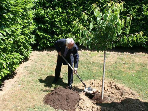 大槻社長による植樹