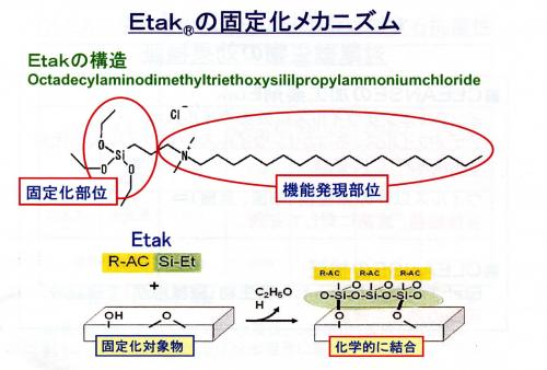 「Etak」固定化メカニズム