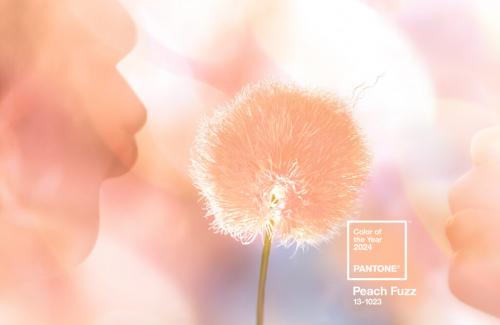 Pantone color for 2024“ Peach Fuzz” via Pantone X