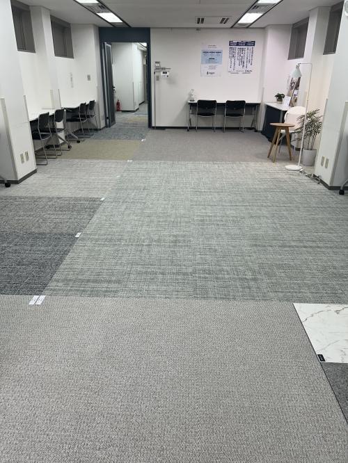 「ECOS」新作展示