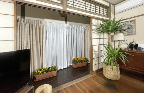 ドレープ U5137・シアー U5415