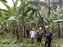 植林実施場所の様子