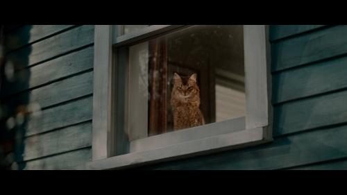 新CM動画URL：60秒