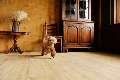 ロボフロアー／ナチュラルズ