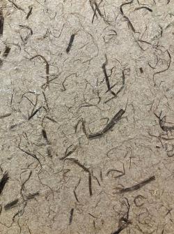 能登ヒバを漉き込んだ仁行和紙