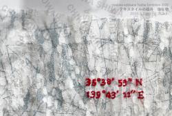 「テキスタイルの箱舟」